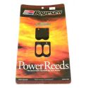 Johnson / Evinrude 25/35 Hp 3 Cylinder Reeds