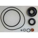 Chrysler / Force-70-105 Hp untere Einheit Seal Kit