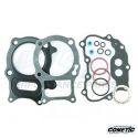 Top End Gasket Kit Honda 250 TRX 01-18