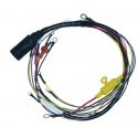 Mercury 105-200 Hp Harness