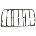 Johnson / Evinrude 200-300 Hp E-TEC Reed Gasket