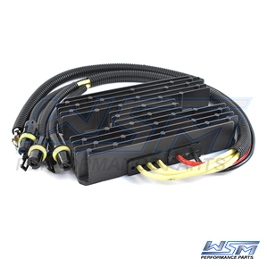 Voltage Regulator: Polaris 900 RZR 11-12 - 4013231