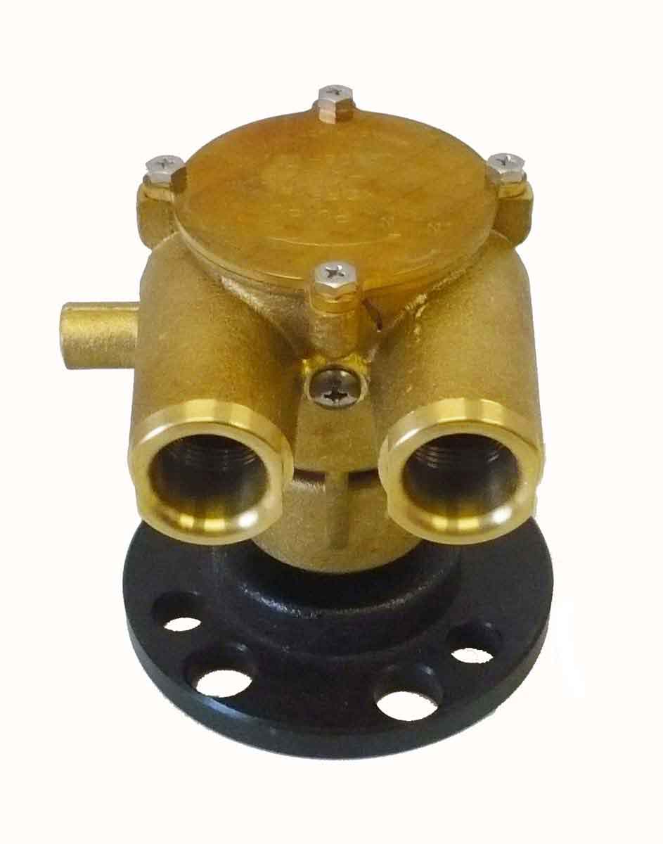 Johnson råvand pumpe (F5B) - 685001
