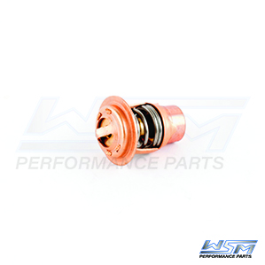 Mercury 4,5-300 / Polaris 650-1200 inverteret messing termostat 143a ° f - 0434841