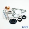 Thermostat Kit: Johnson / Evinrude 150 - 235 Hp V6 CrossFlow 76-92