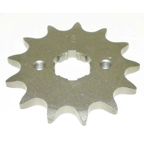 FSH01313