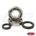 Suzuki 250 Quadracer 1988-1992 Crank Bearing & Seal Kit
