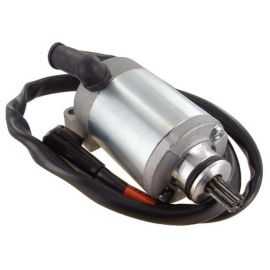 Can-Am 175/200 Rally Starter