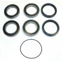 Can-Am 450 DS 2008-2011 Rear Wheel Bearing Kit
