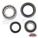 Yamaha 250-400 Rear Wheel Bearing Kit