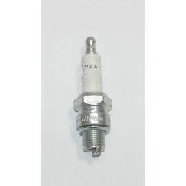 QL77JC4 Champion Spark Plug
