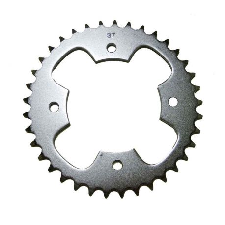 RSP00437