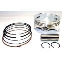 PISTON WR 250 S / X 08-09 D.76,96