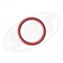 Sea-Doo 1503 4-Tec Crankcase O-Ring